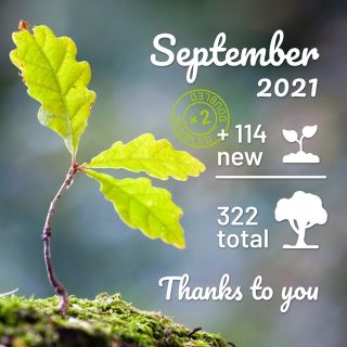 As I promised, I doubled trees to plant for September. And as I indicated, it was really the best selling month in the...